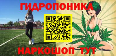 сатива Будённовск