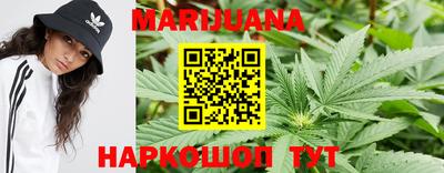 сатива Будённовск