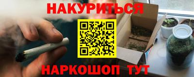 сатива Будённовск